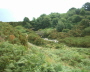 The Old Bloody Bridge