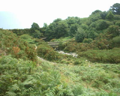 The Old Bloody Bridge