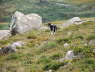 Foothills of the Mourne Mountains