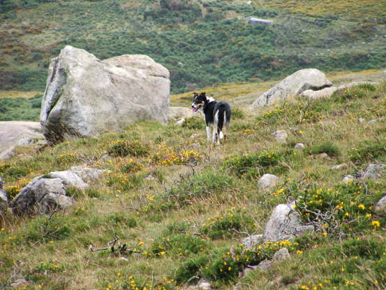 Foothills of the Mourne Mountains