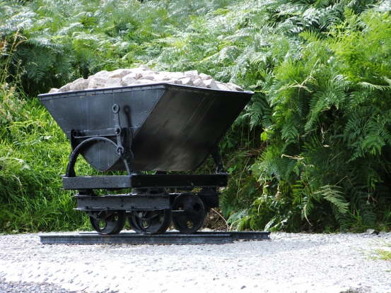 Bogie on the Mourne Granite Trail