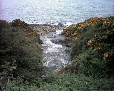 Coastal Path