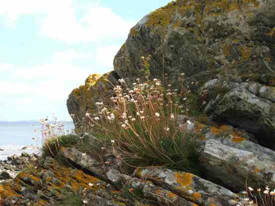 National Trust Mourne Coastal Path