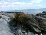 National Trust Mourne Coastal Path